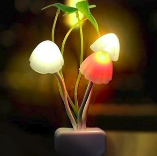 led lamp