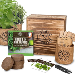Indoor Herb Garden Kit: A Thoughtful Mother’s Day Gift Idea 
